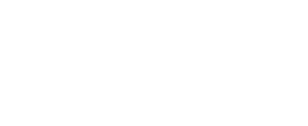FlightAtom